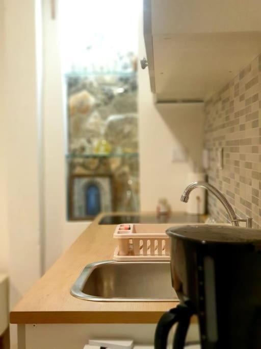 Studio Apartman Barbeta Grebaštica エクステリア 写真