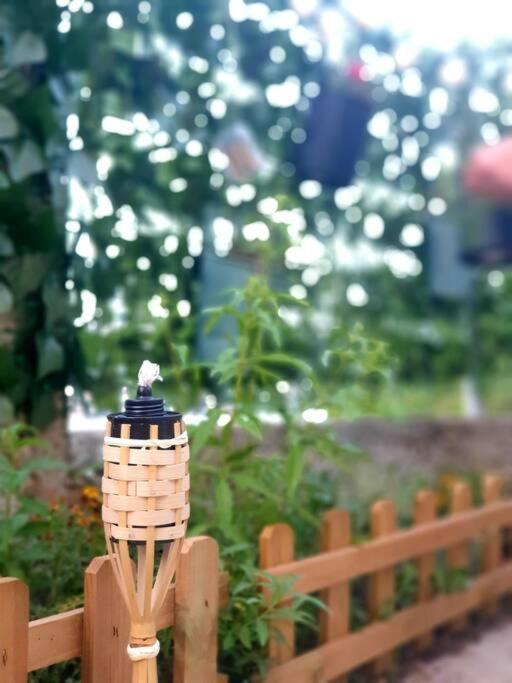Studio Apartman Barbeta Grebaštica エクステリア 写真